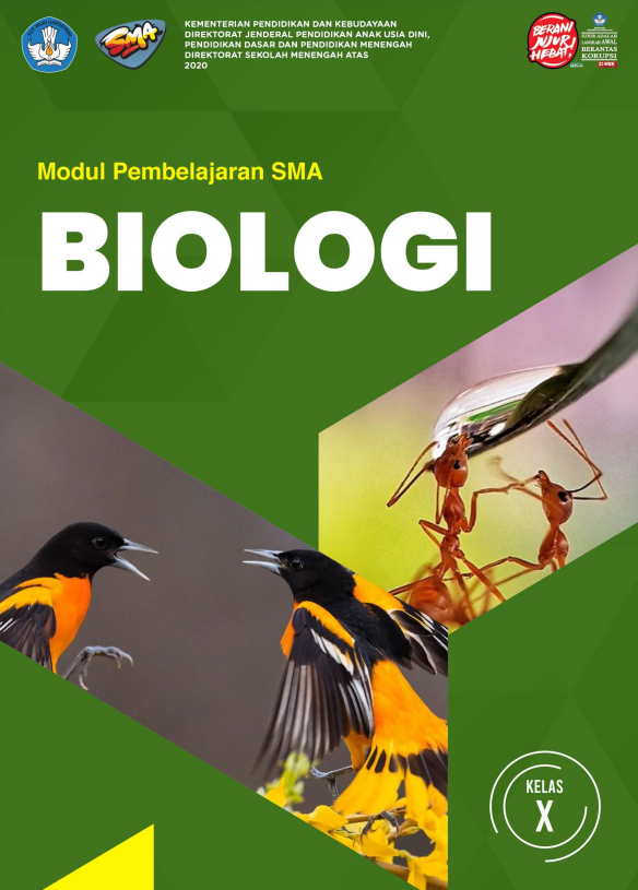 Modul Pembelajaran SMA Biologi